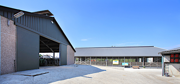 Milchviehbetrieb in Selfkant-Schalbruch
